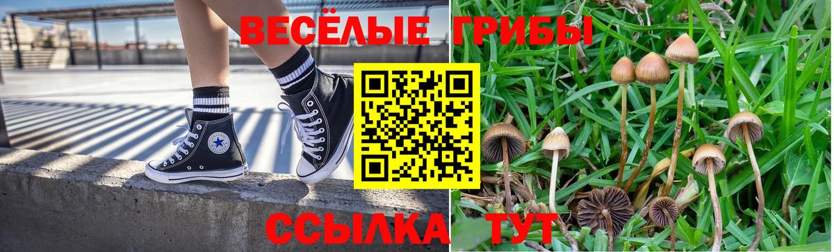 Псилоцибиновые грибы прущие грибы Ялуторовск